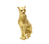 Leopardo Dorado  L