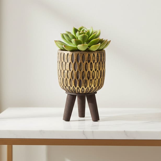 Maceta Mediana CASONA DECO