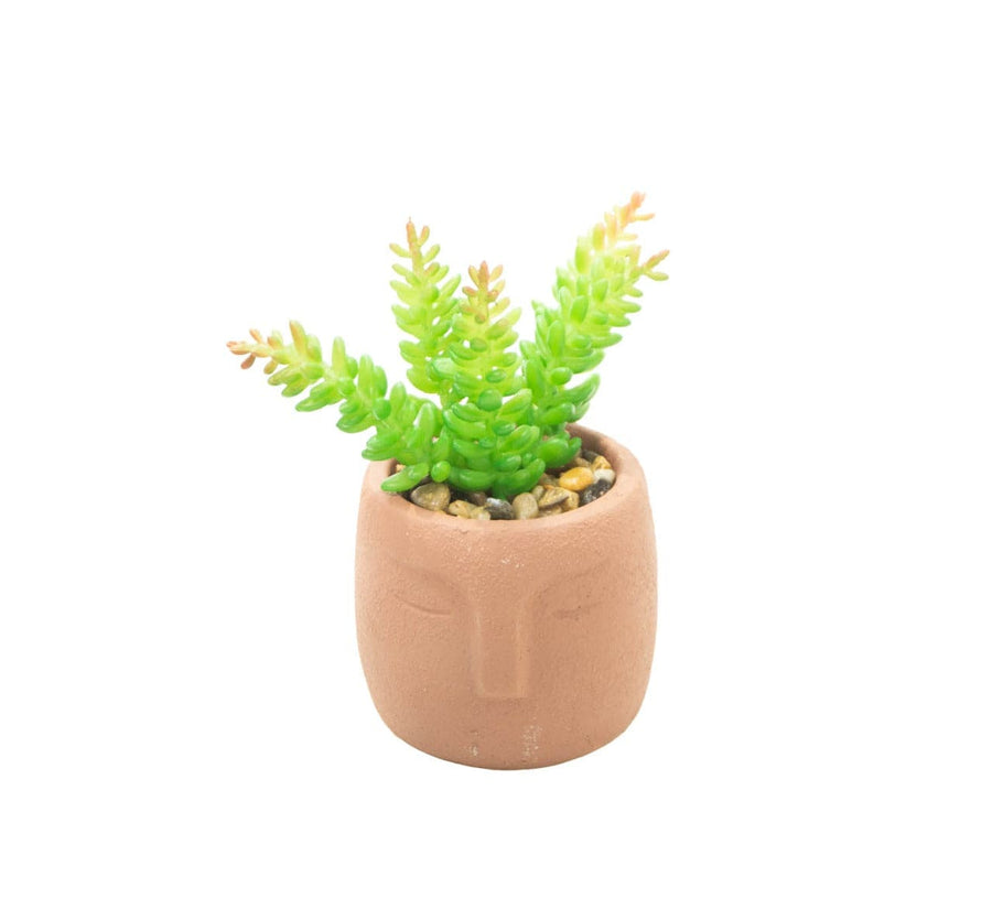 Mini Maceta Cara 0152D CASONA DECO