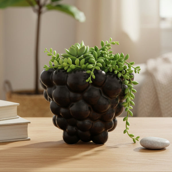 Mini Maceta Uva Negra