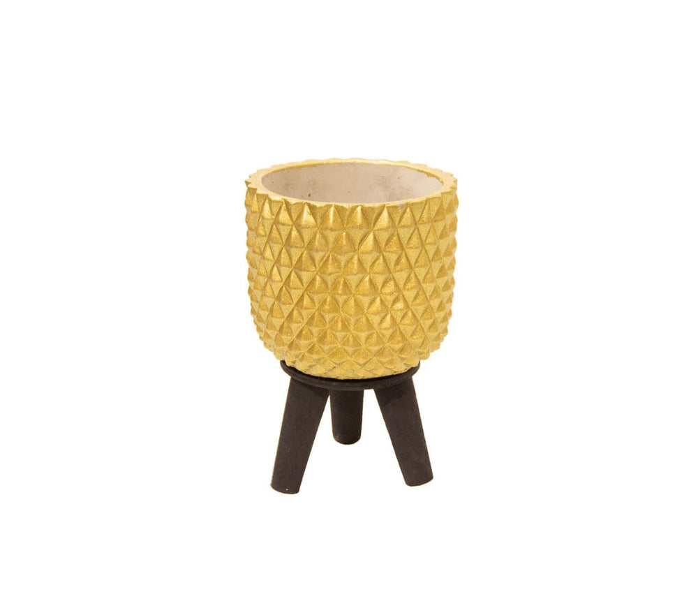 Maceta Piña CASONA DECO plantas