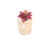 Suculenta Artificial M Rosado
