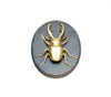 Escarabajo