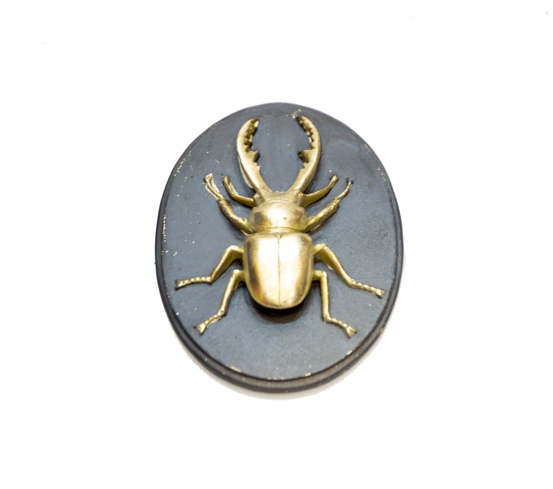 Escarabajo CASONA DECO animales