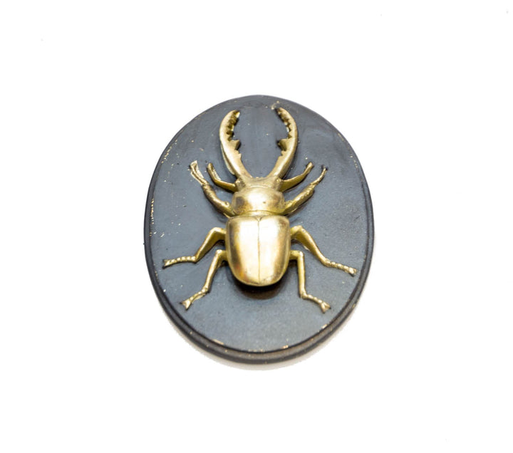 Escarabajo CASONA DECO animales